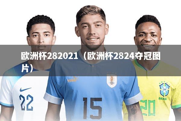 欧洲杯282021（欧洲杯2824夺冠图片）