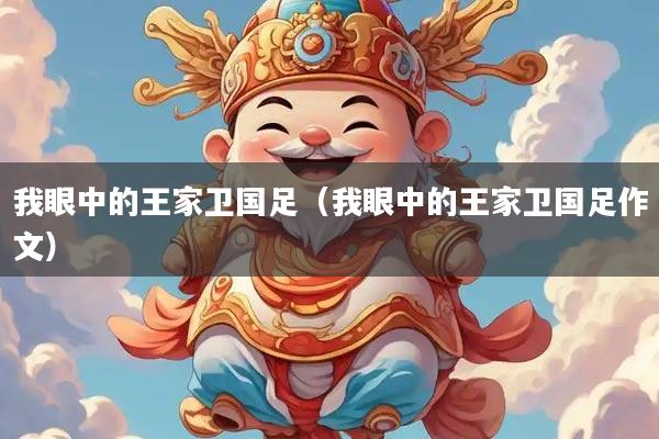 我眼中的王家卫国足（我眼中的王家卫国足作文）