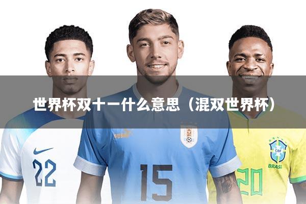 世界杯双十一什么意思(混双世界杯)