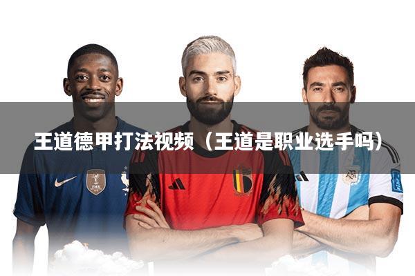 王道德甲打法视频（王道是职业选手吗）