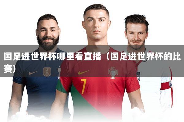 国足进世界杯哪里看直播（国足进世界杯的比赛）